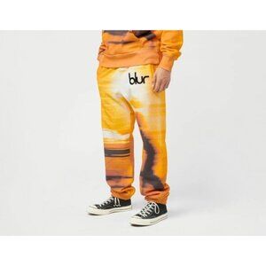 NEW PLEASURES x BLUR LIMITED SWEATPANTS MEDIUM